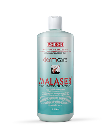 Dermcare Malaseb Medicated Shampoo 1L for Dogs & Cats