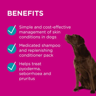 PAW Mediderm & Nutriderm Pack 200ml