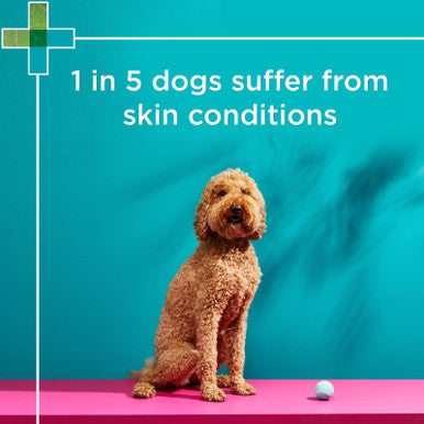 PAW Mediderm & Nutriderm Pack 200ml