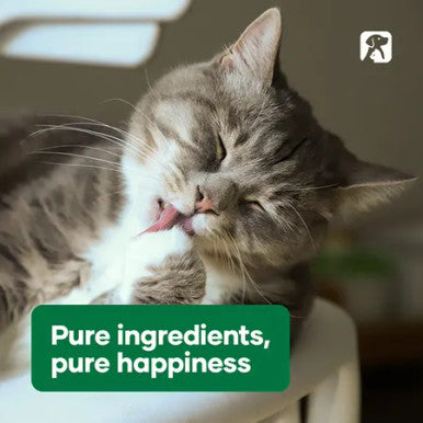 NAS Dermal Cream 60g