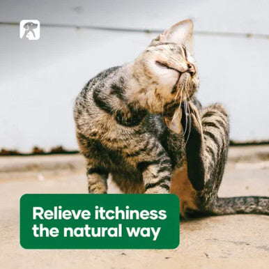 NAS Itchy Scratch 100mL