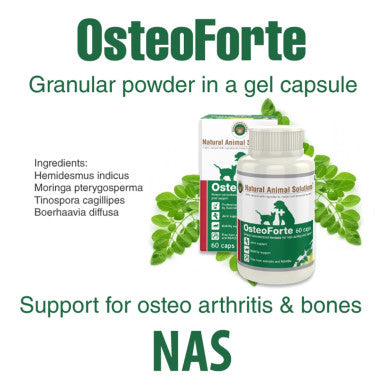 NAS Osteoforte Capsules - 60 Pack