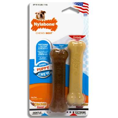 Nylabone Puppy Chew Twin Pack, Peanut Butter & Puppy Chew