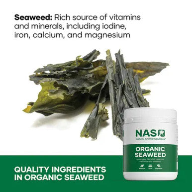NAS Organic Seaweed 300g