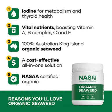 NAS Organic Seaweed 300g