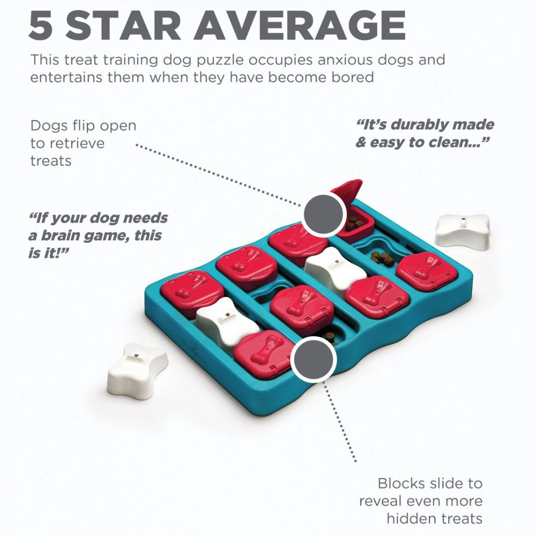 Nina Ottosson Dog Brick Interactive Treat Dispenser Dog Toy