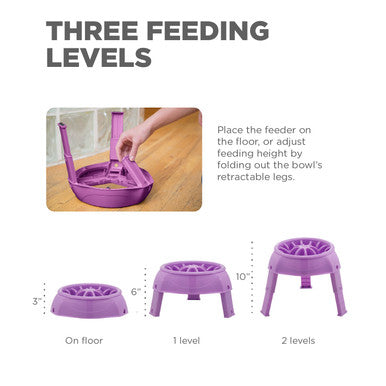 Outward Hound 3-in-1 Up Height Adjustable Dog Bowl - Purple