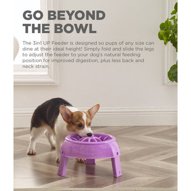 Outward Hound 3-in-1 Up Height Adjustable Dog Bowl - Purple