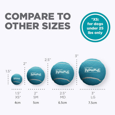 Outward Hound Fetch Squeaker Ballz - Pack of 2 Large