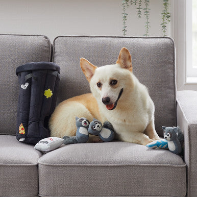 Outward Hound Hide A Raccoon Plush Dog Puzzle with 3 Squeaker Toys