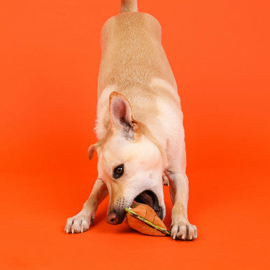 Outward Hound Xtreme Seamz Squeaker Dog Toy - Lion