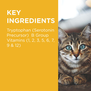 PAW Complete Calm Chews for Cats - 75g