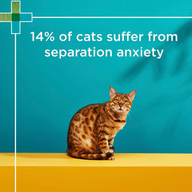 PAW Complete Calm Chews for Cats - 75g