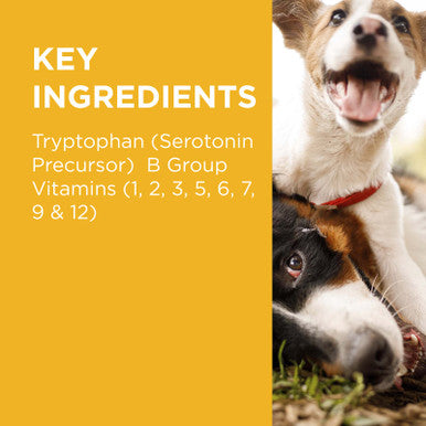 PAW Complete Calm Chews for Small Dogs - 75g