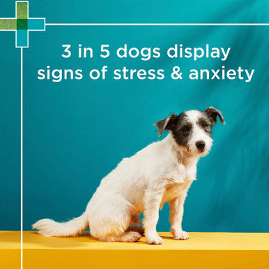 PAW Complete Calm Chews for Small Dogs - 75g