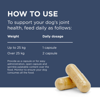 PAW Osteosupport Powder for Dogs 500mg - 150 Capsules