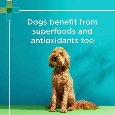 PAW Wellness & Vitality Multivitamin for Dogs - 300g