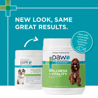 PAW Wellness & Vitality Multivitamin for Dogs - 300g