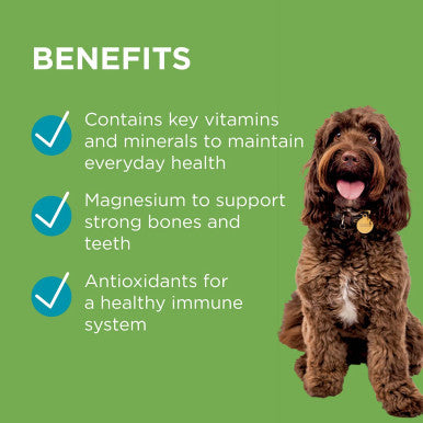 PAW Wellness & Vitality Multivitamin for Dogs - 300g