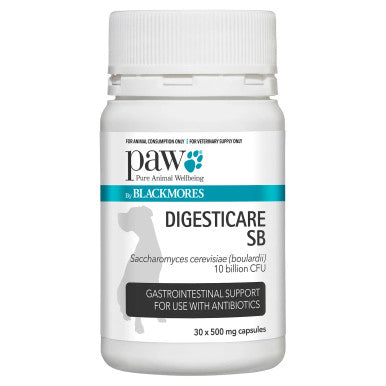 PAW Digesticare SB Gastrointestinal Support for Dogs 500mg - 30 Capsules