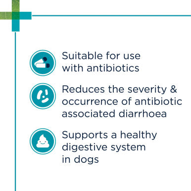 PAW Digesticare SB Gastrointestinal Support for Dogs 500mg - 30 Capsules