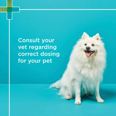 PAW Digesticare SB Gastrointestinal Support for Dogs 500mg - 30 Capsules