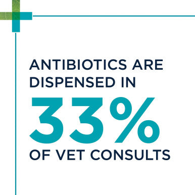 PAW Digesticare SB Gastrointestinal Support for Dogs 500mg - 30 Capsules