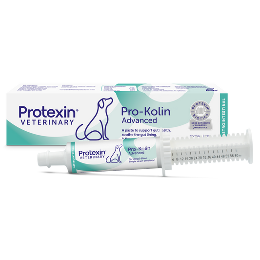 Protexin Pro-Kolin Advanced Paste for Dogs 60ml