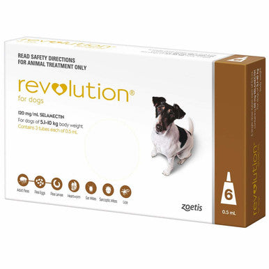 Revolution for Dogs 5.1-10 kg - Brown 6 Pack