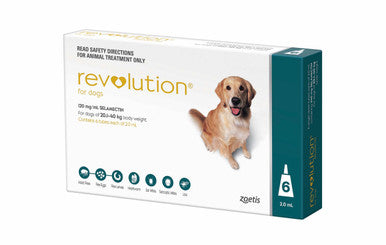 Revolution for Dogs 20.1-40kg - Teal 6 Pack