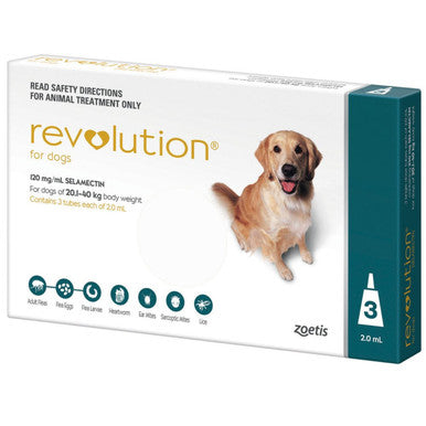 Revolution for Dogs 20.1-40 kg - Teal 3 Pack