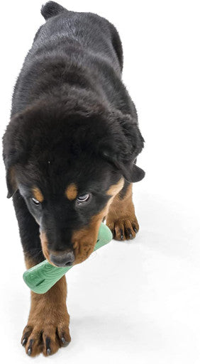 West Paw Seaflex Recycled Plastic Fetch Dog Toy - Drifty Small - Emerald