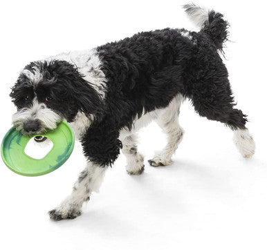 West Paw Seaflex Recycled Plastic Flyer Dog Toy - Sailz - Emerald