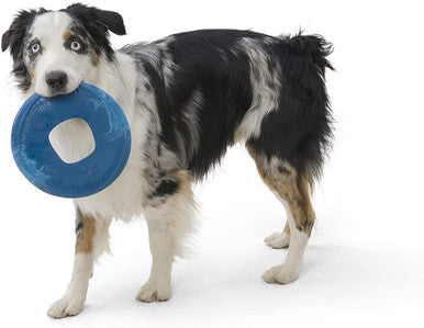 West Paw Seaflex Recycled Plastic Flyer Dog Toy - Sailz - Surf