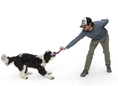 West Paw Seaflex Recycled Plastic Tug Dog Toy - Snorkl Hibiscus