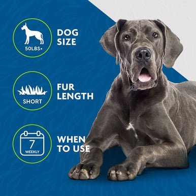 FURminator Short Hair Deshedding Tool For Large Dogs