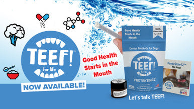 TEEF! Protektin42 Dental Water Additive for Dogs