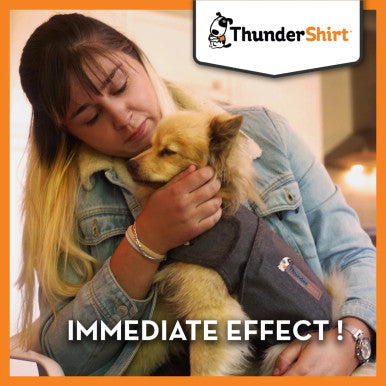 ThunderShirt: The Ultimate Solution for Anxious Dogs
