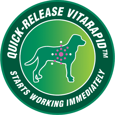 VitaRapid Active Multi Daily Treats for Dogs 210g