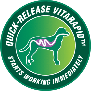 VitaRapid Digestive Health Daily Treats for Dogs 210g