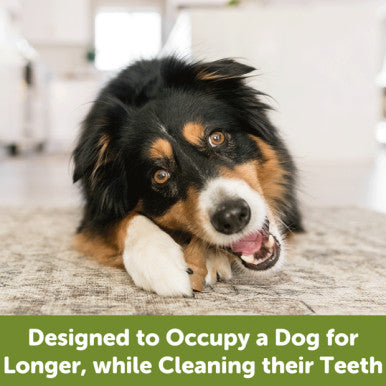 Whimzees Occupy Antler Large Dog Treats 6 Pack