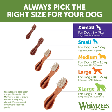 Whimzees Toothbrush Medium Dental Dog Treats 12 Pack