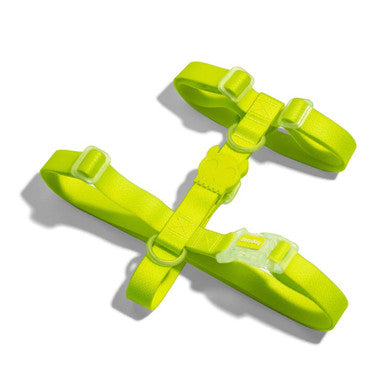 Side view of the Zee.Dog Neopro Lime H-Harness range.
