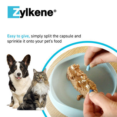 Zylkene Calming Supplement Cats & Dogs Under 10kg - 100 Capsules