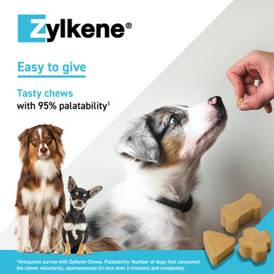 Zylkene Calming Chews for Large Dogs 15-60kg - 14 Chews