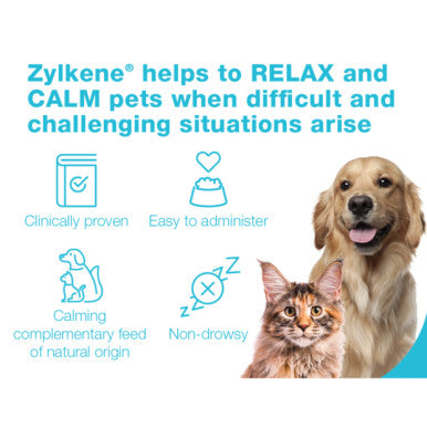 Zylkene Calming Chews for Medium Dogs 10-30kg - 14 Chews