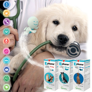 Zylkene Calming Supplement Dogs 10-30kg - 30 Capsules 225mg