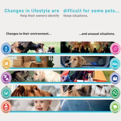 Zylkene Calming Supplement Dogs 15-60kg - 30 Capsules 450mg