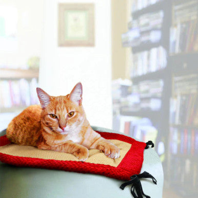 KONG Active Cat Playmat