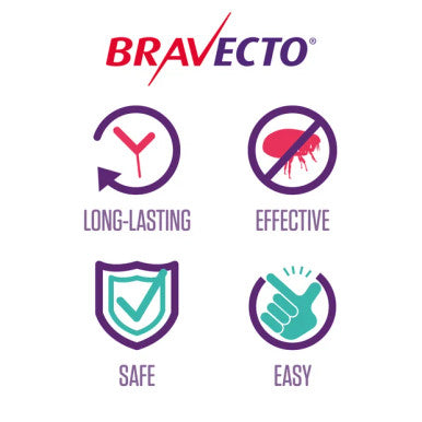 Bravecto for Very Small Dogs 2 - 4.5kgs - 1 Chew